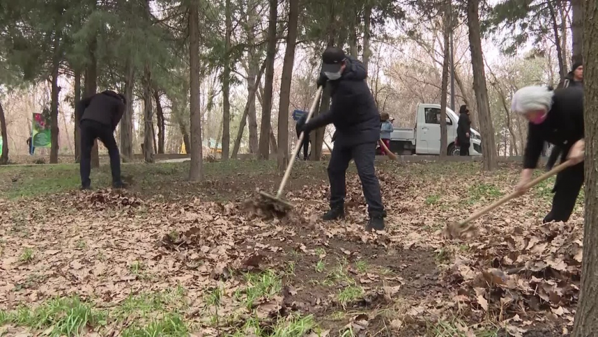 ШЫМКЕНТТЕ ЖАЛПЫҚАЛАЛЫҚ СЕНБІЛІККЕ 10 МЫҢНАН АСТАМ АДАМ ҚАТЫСТЫ