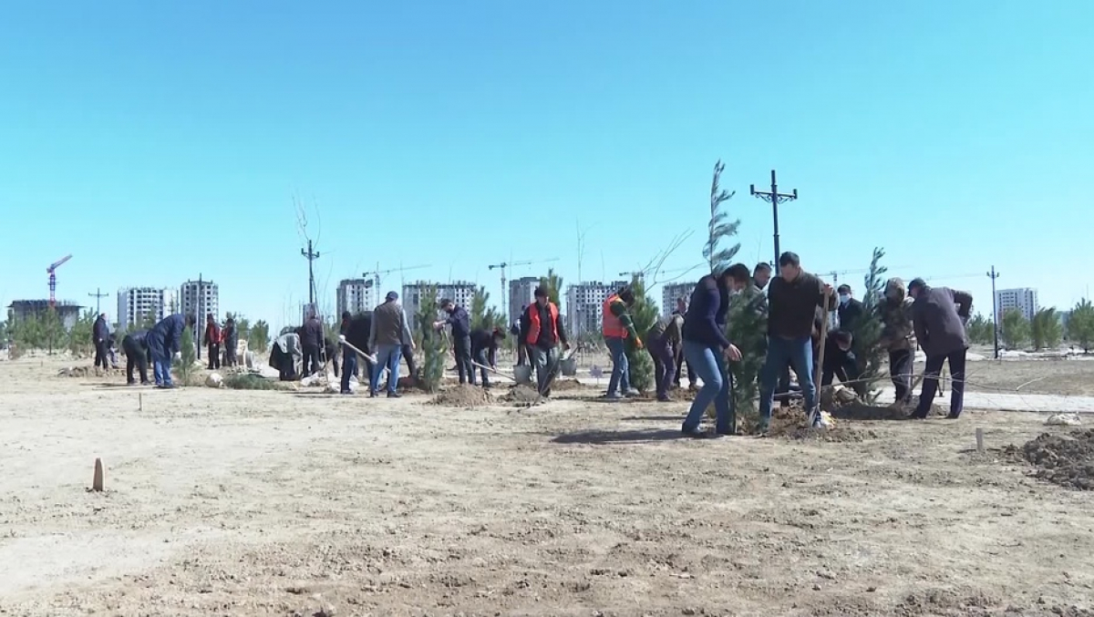 ҚАЛАНЫ КӨГАЛДАНДЫРУ НАУҚАНЫ ЖАЛҒАСУДА