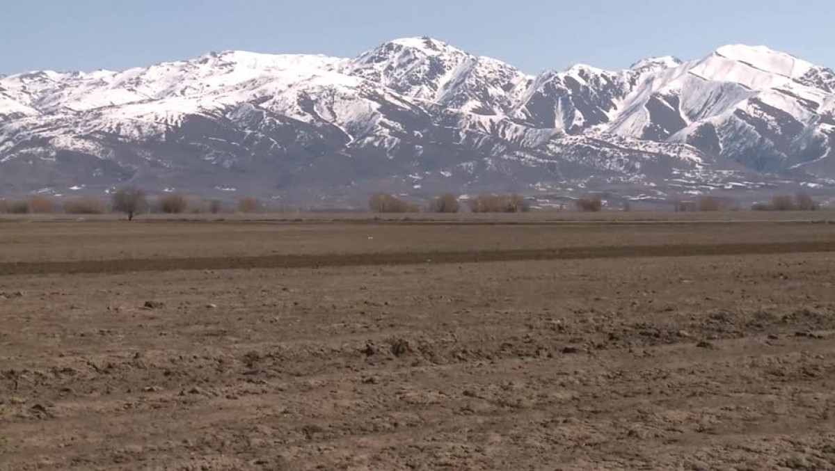 ПАРЛАМЕНТ ЖЕРДІ ШЕТЕЛДІКТЕРГЕ САТПАУДЫ КӨЗДЕЙТІН ЗАҢ ЖОБАСЫН ҚАБЫЛДАДЫ