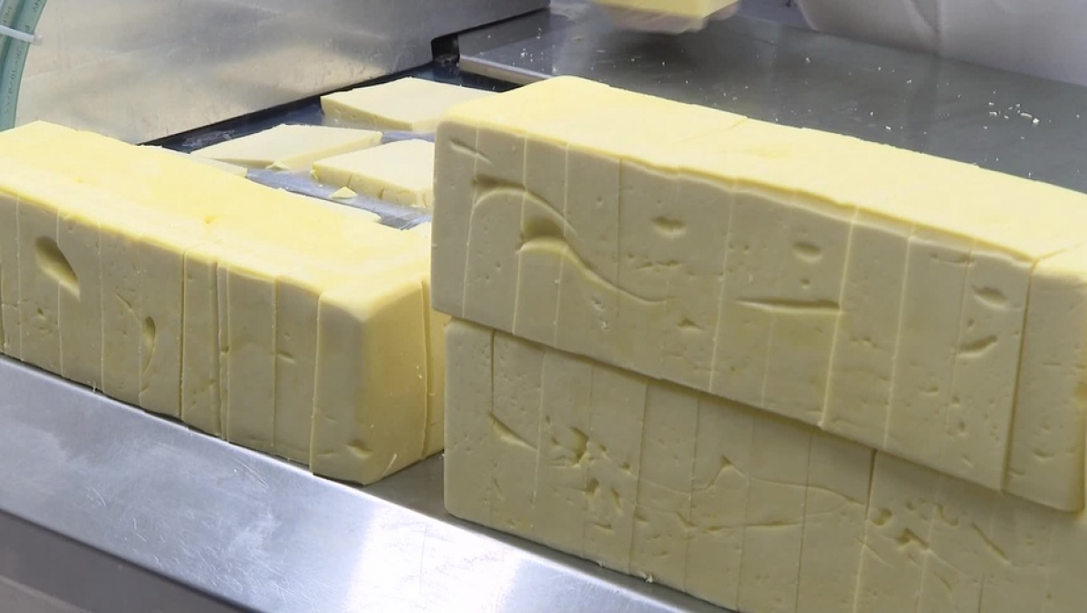 Шымкенттік өнімге сұраныс жоғары