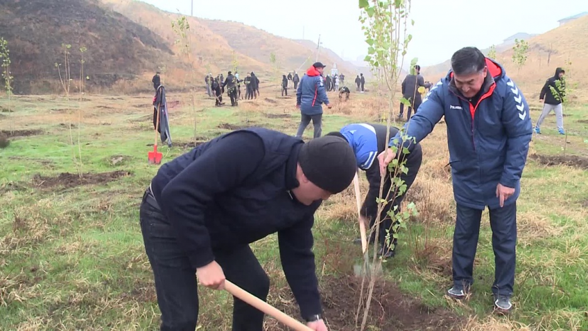 «Ағаш отырғызу – сауапты іс» акциясы өтті