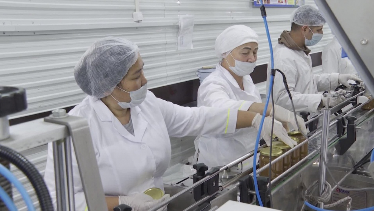 Шымкентте қайта өңдеуші кәсіпорындардың жұмысы жандануда