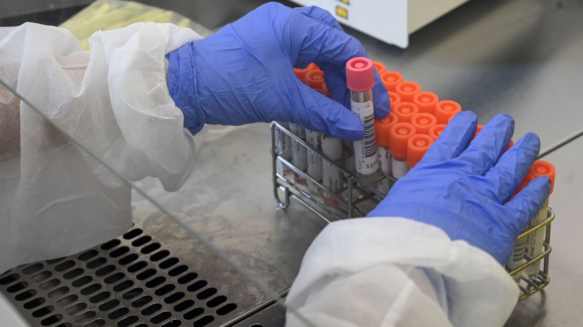 Коронавирус жұқтырғандар саны тағы өсті