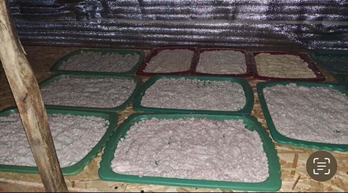 Алматы облысында есірткі зертханасы анықталды