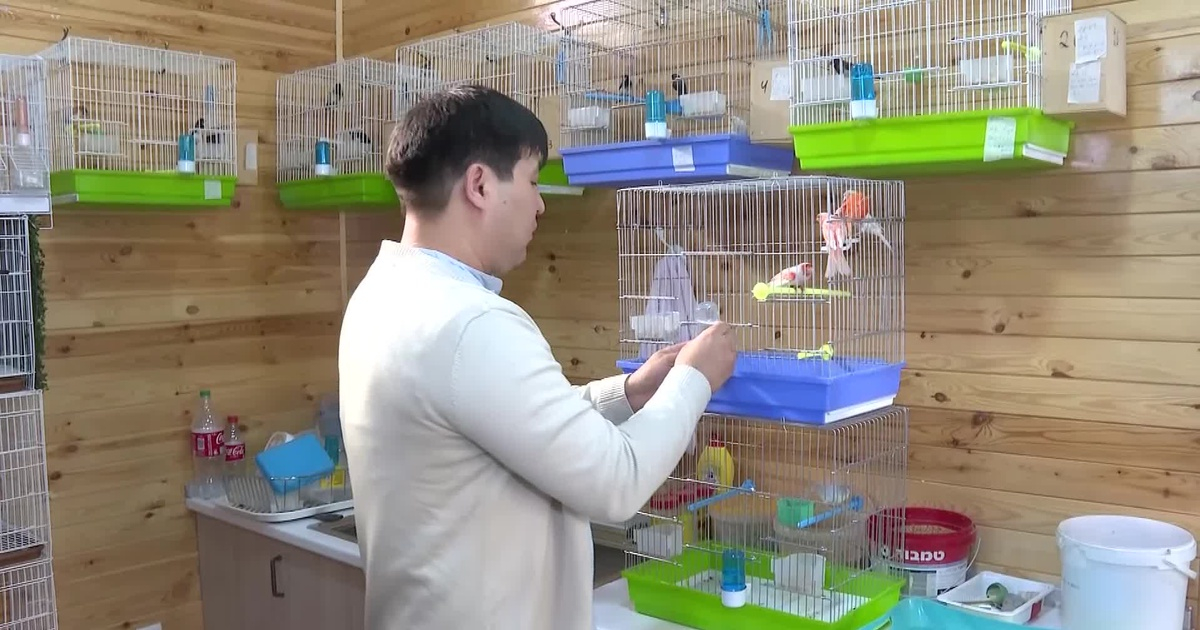 Шымкентте ерекше құстарды өсіруге әуес 30 жуық жан бар
