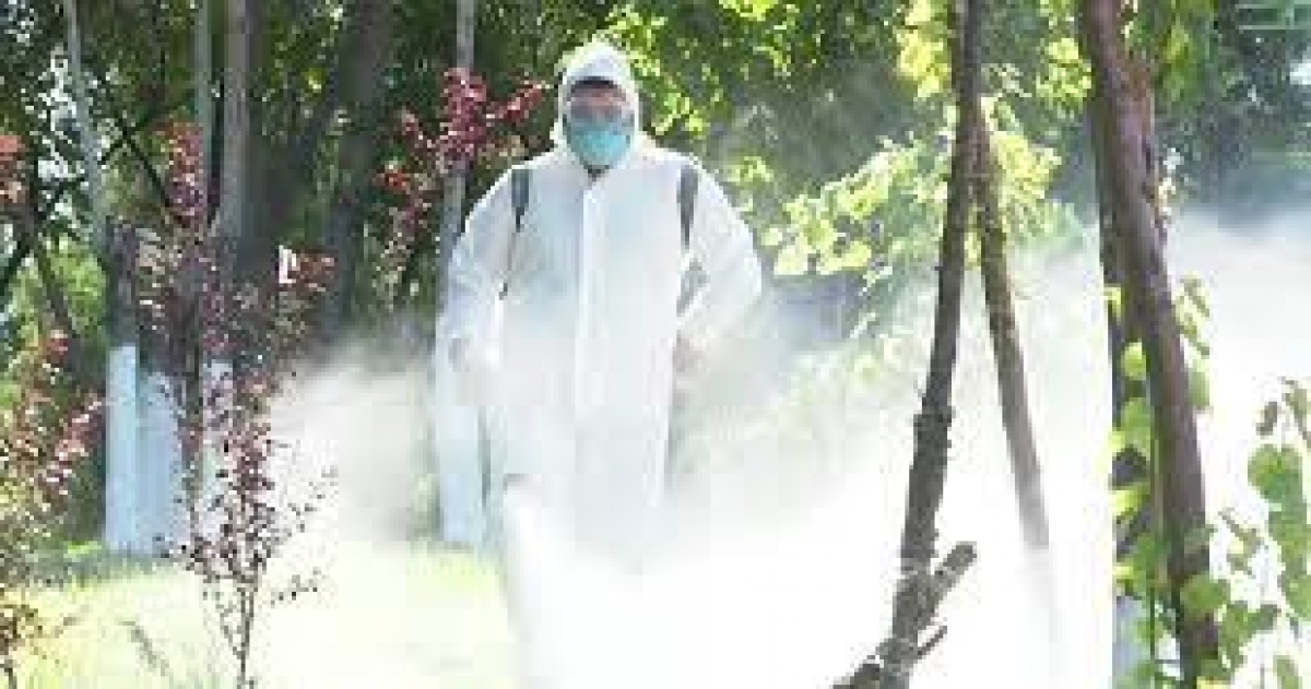 Кеміргіштер мен жәндіктерді жою жоспарланған