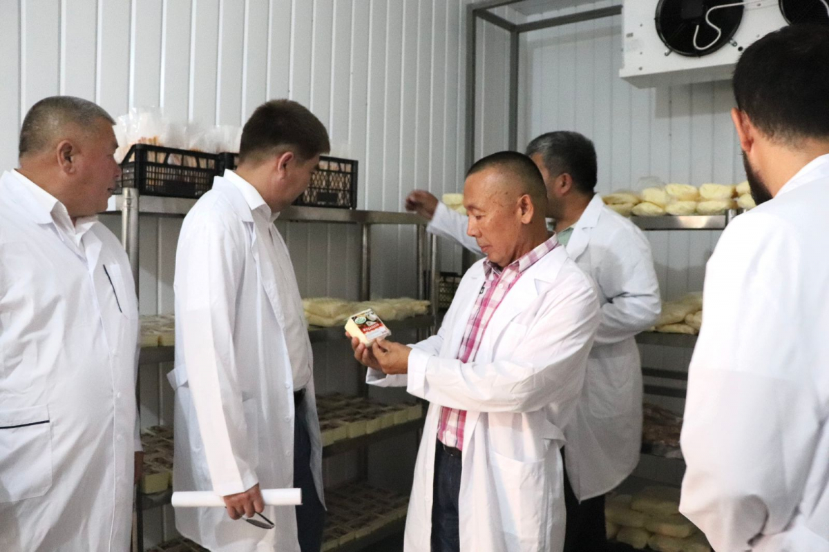 ЖОЛ КАРТАСЫНЫҢ ОРЫНДАЛУЫ БАСТЫ НАЗАРДА