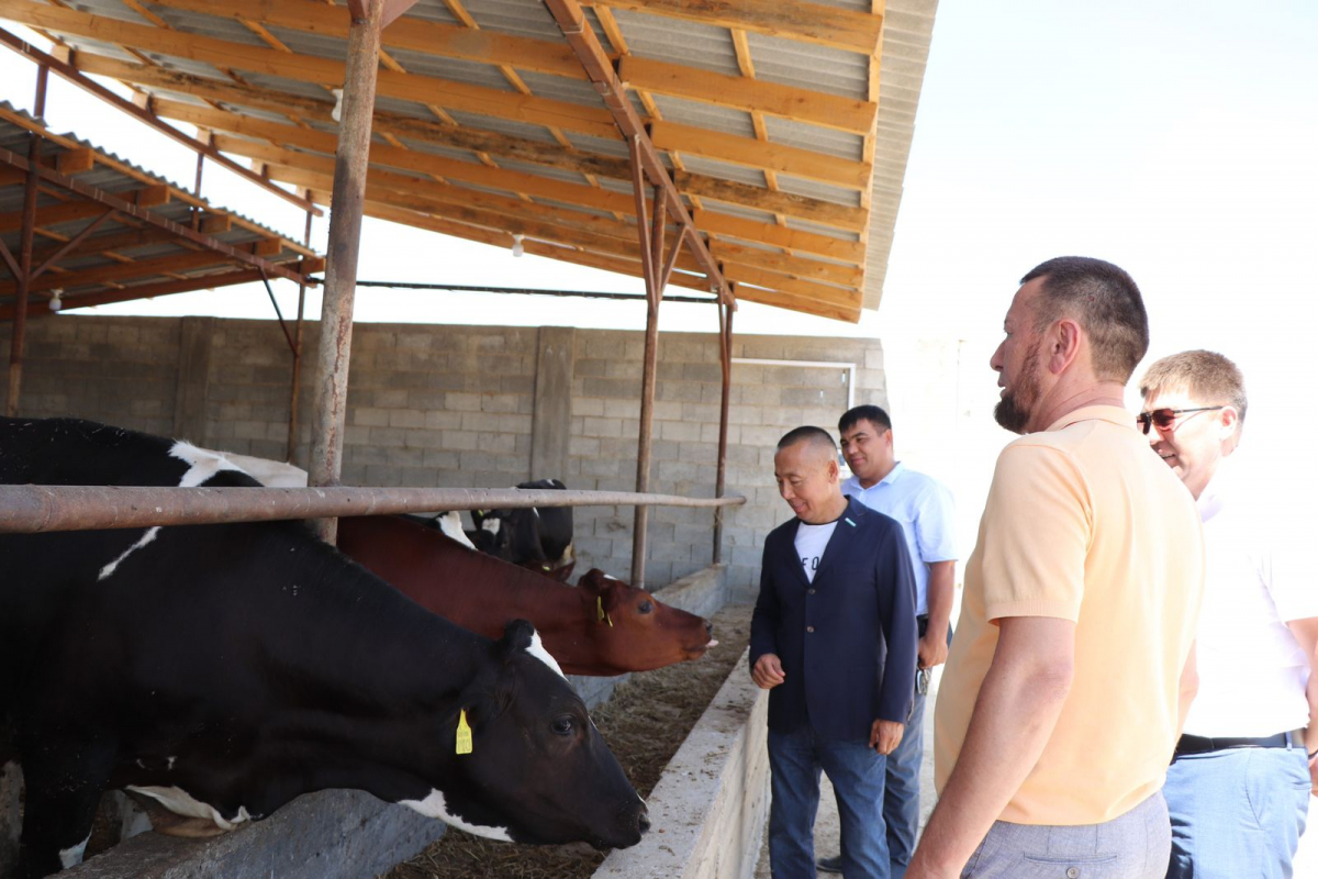 АУЫЛ ШАРУАШЫЛЫҒЫ - МЕМЛЕКЕТТІ ДАМЫТАТЫН САЛА