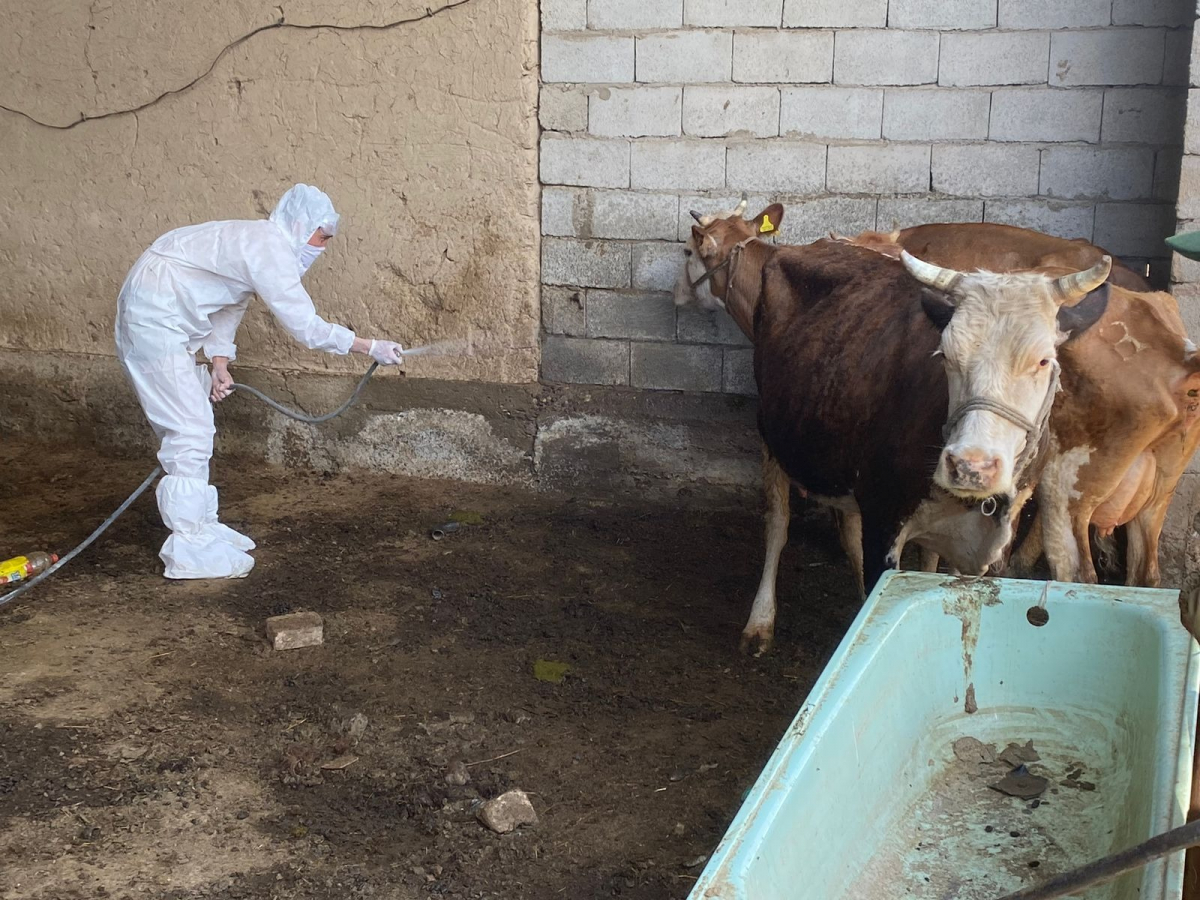 ВЕТЕРИНАРИЯЛЫҚ- САНИТАРИЯЛЫҚ ҚАУІПСІЗДІКТІ ҚАМТАМАСЫЗ ЕТУ -БАСТЫ МІНДЕТ