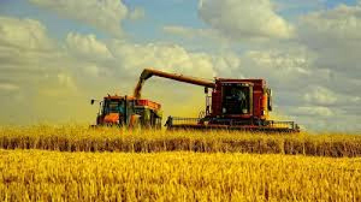 ШЫМКЕНТ: АУЫЛ ШАРУАШЫЛЫҒЫ САЛАСЫНДАҒЫ ИНВЕСТИЦИЯЛЫҚ ЖОБАЛАР