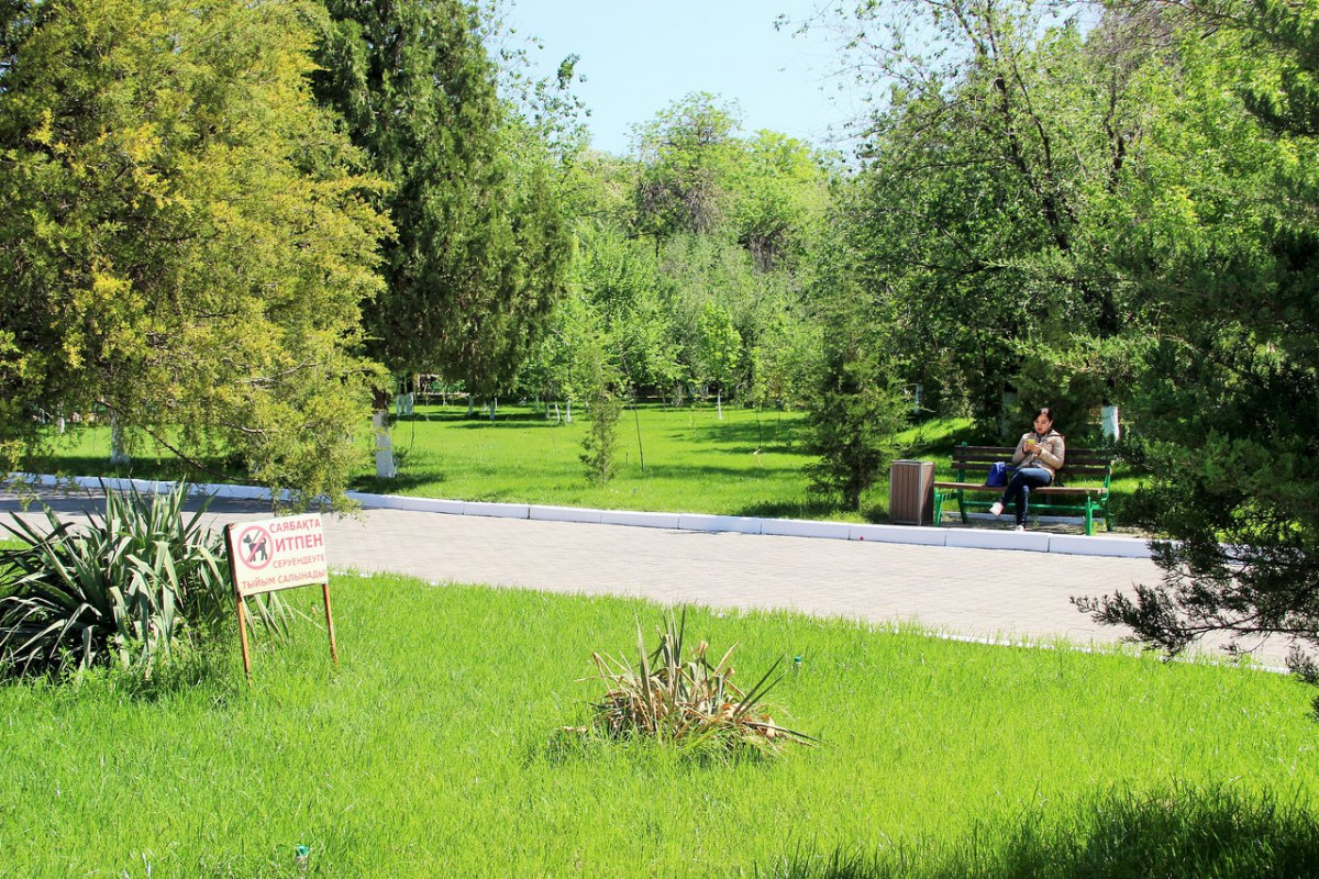 ШЫМКЕНТТЕ ОРМАН-САЯБАҚТАРДЫ ЖАҢҒЫРТУ ЖҰМЫСТАРЫ ЖҮРГІЗІЛУДЕ