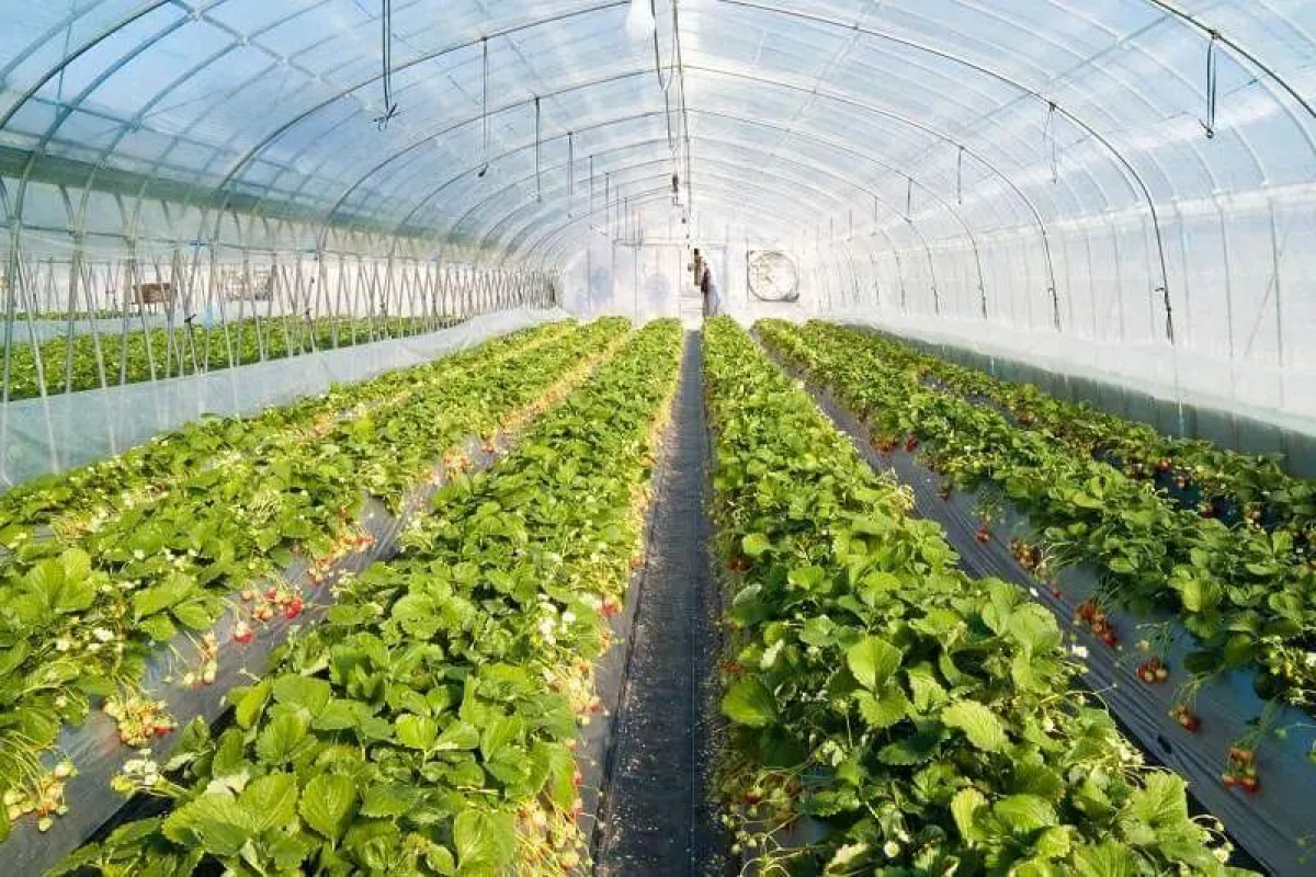 ИНВЕСТИЦИЯ ТАРТУҒА КҮШ САЛУДА