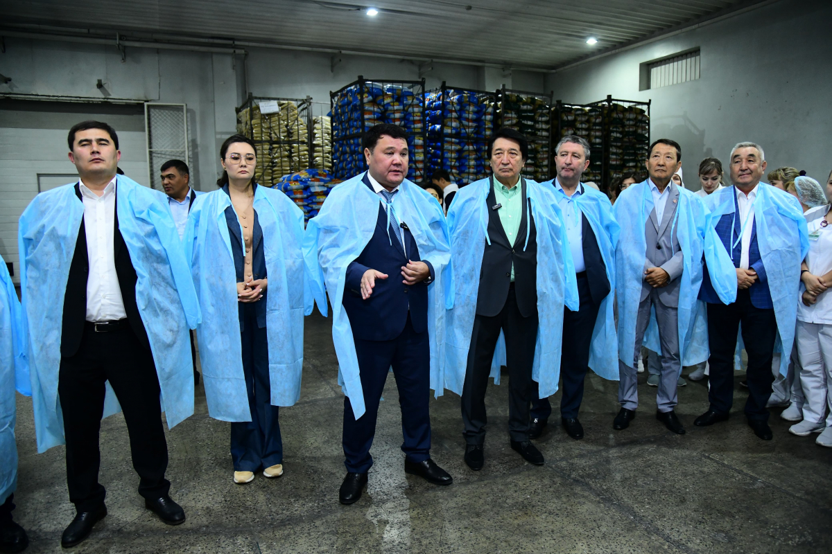 АЭС – ТАЗА ЖӘНЕ ТҰРАҚТЫ ЭНЕРГИЯ КӨЗІ