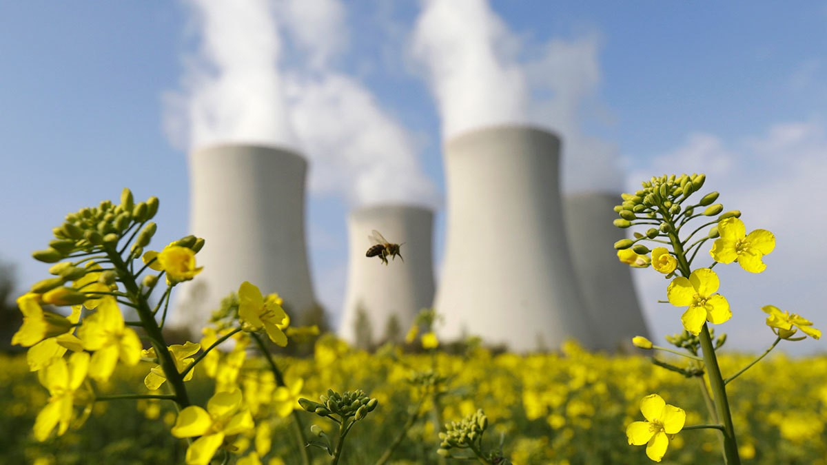 АЭС-тің жаһандық жылынуға тигізер әсері қандай?