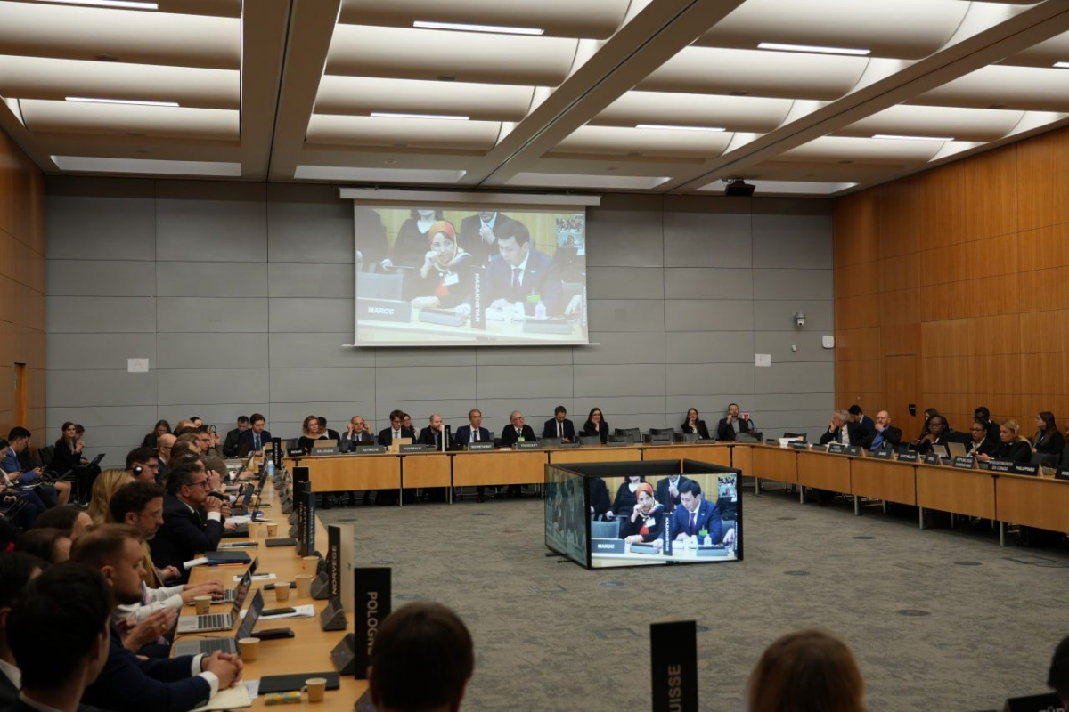 Сыбайлас жемқорлыққа қарсы қызмет ЭЫДҰ-ның парасаттылық және жемқорлыққа қарсы күрес жөніндегі отырысына қатысты