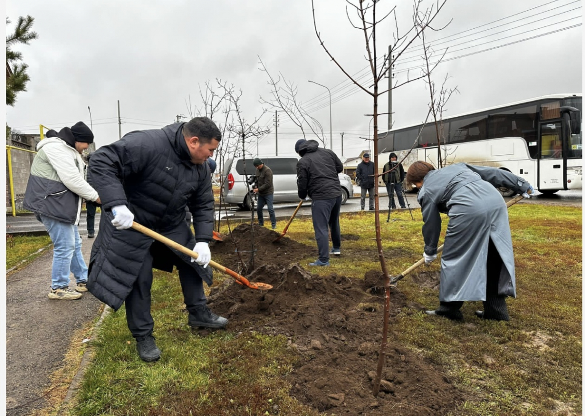 Боз кілемнен жасыл әлемге
