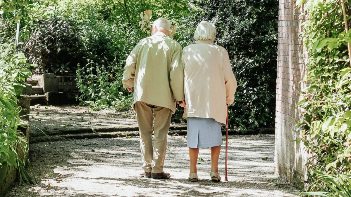 БЛАГИЕ ПРОЕКТЫ ДЛЯ ПЕНСИОНЕРОВ