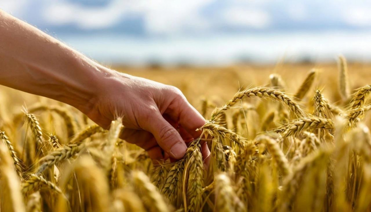 Ауыл шаруашылығы Шығыс Қазақстан экономикасының күретамыры!