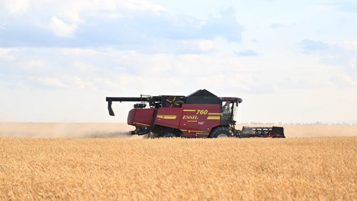 2024 ЖЫЛЫ ҚАЗАҚСТАНДА РЕКОРДТЫҚ 26,7 МЛН ТОННА АСТЫҚ ЖИНАЛДЫ