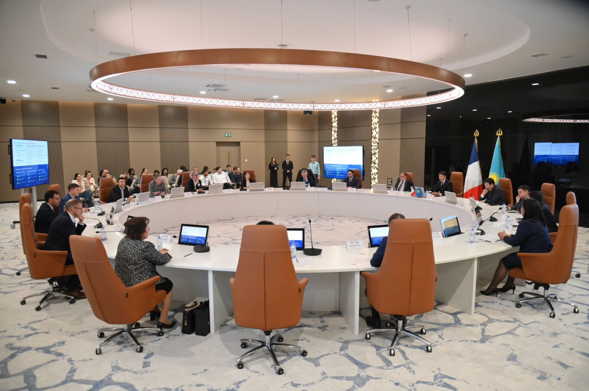 ФРАНЗУСКИЕ КОМПАНИИ ВЫРАЗИЛИ ЗАИНТЕРЕСОВАННОСТЬ В СОВМЕСТНЫХ ИНВЕСТПРОЕКТАХ В ШЫМКЕНТЕ