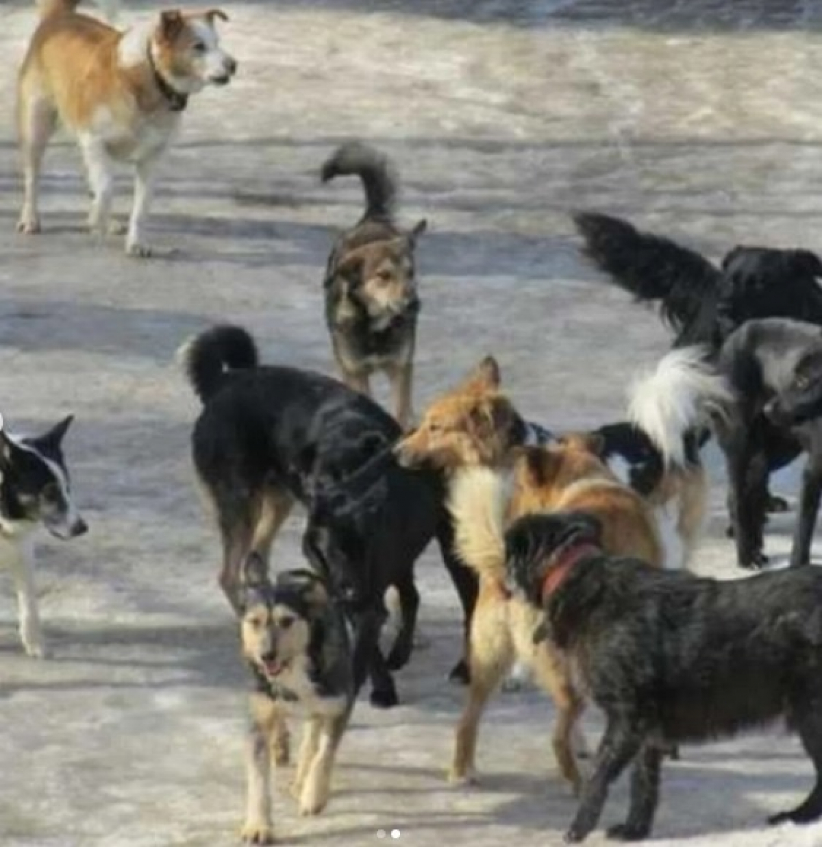 Благоустройство в Риддере: от модернизации теплосетей до замены водопроводов