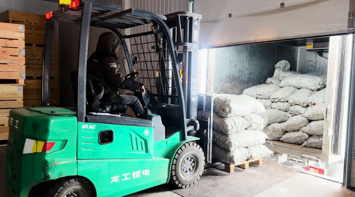 «Ертіс» ӘКК» АҚ: Картоп жеткілікті. Мәселе тапшылықтан емес, баға арасындағы үлкен айырмашылықтан