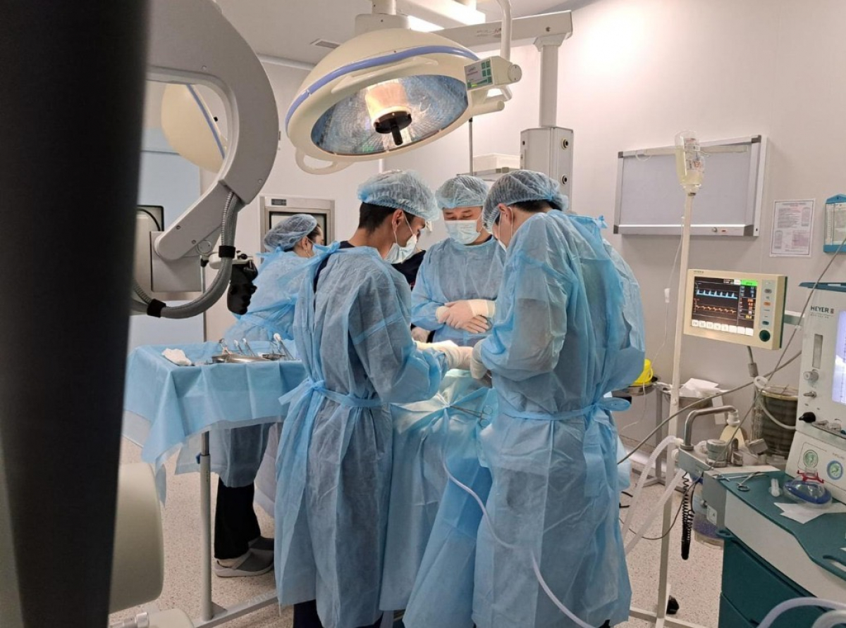 ШЫМКЕНТТІК ДӘРІГЕРЛЕР 4 АЙЛЫҚ СӘБИГЕ КҮРДЕЛІ ОТА ЖАСАДЫ