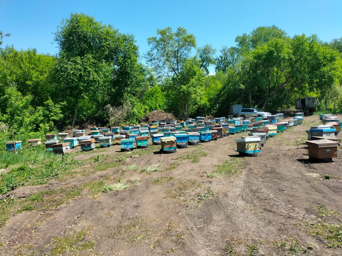 «Ауыл аманаты»: ауыл кәсіпкерлеріне жаңа мүмкіндіктер