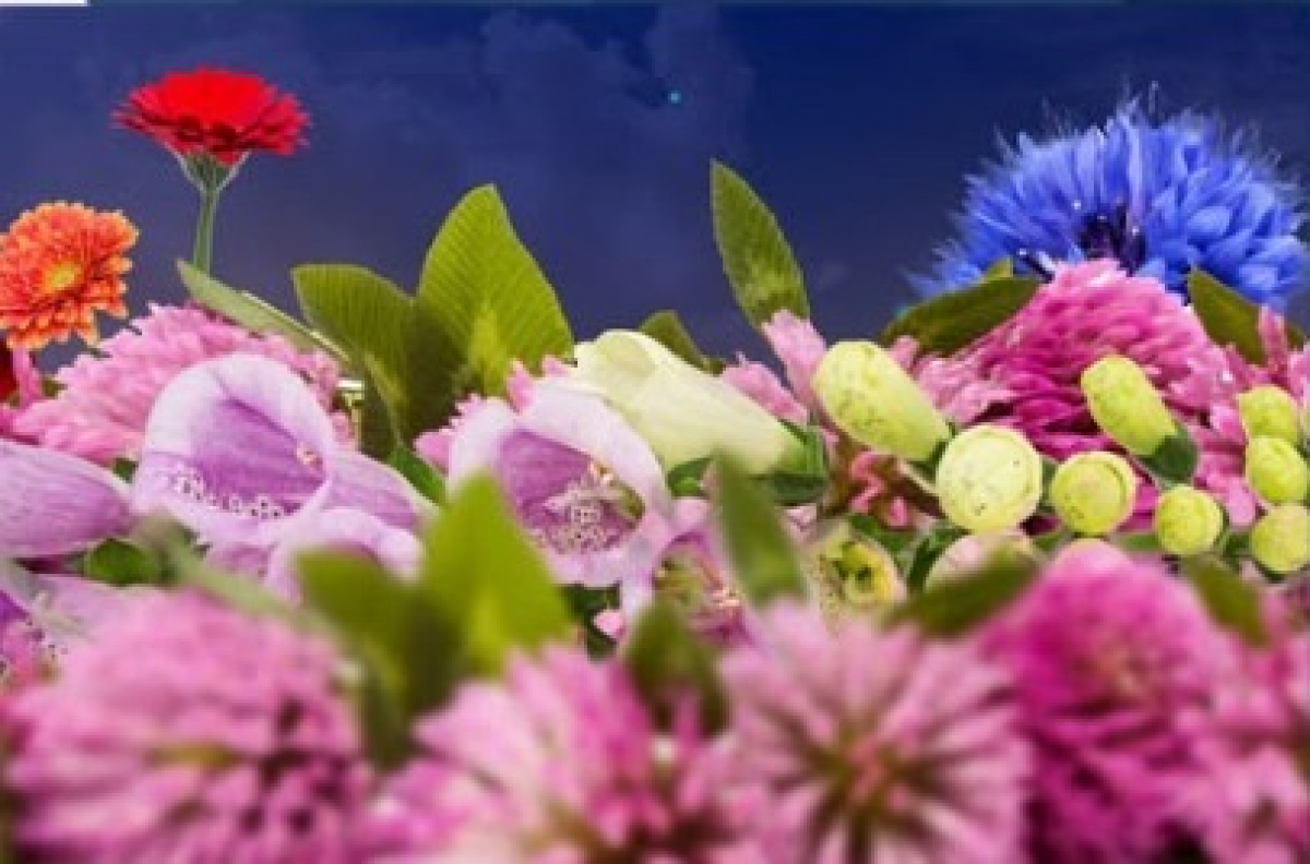 ШЫМКЕНТТЕ «ГҮЛДЕР ЖӘРМЕҢКЕСІ» ӨТЕДІ