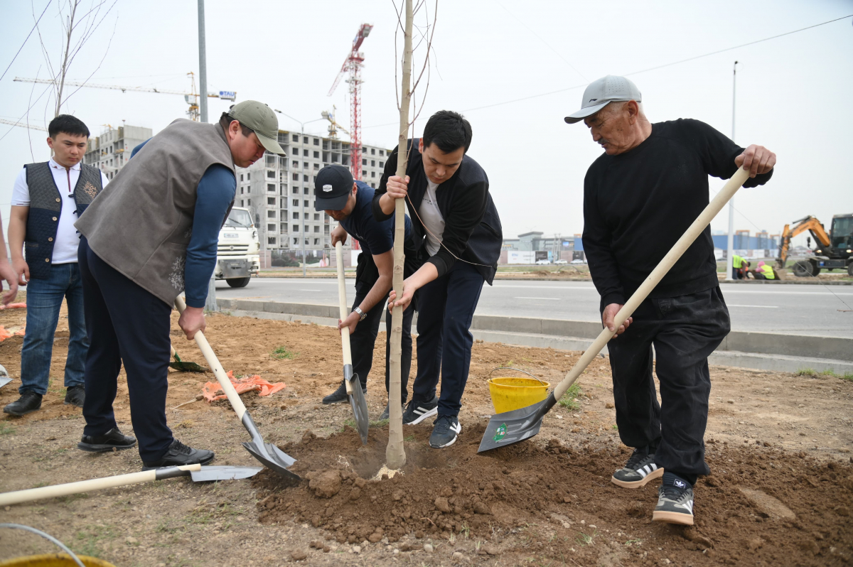 В ШЫМКЕНТЕ В ДЕНЬ ОЧИЩЕНИЯ ПОСАДИЛИ БОЛЕЕ 1 ТЫСЯЧИ САЖЕНЦЕВ ДЕРЕВЬЕВ