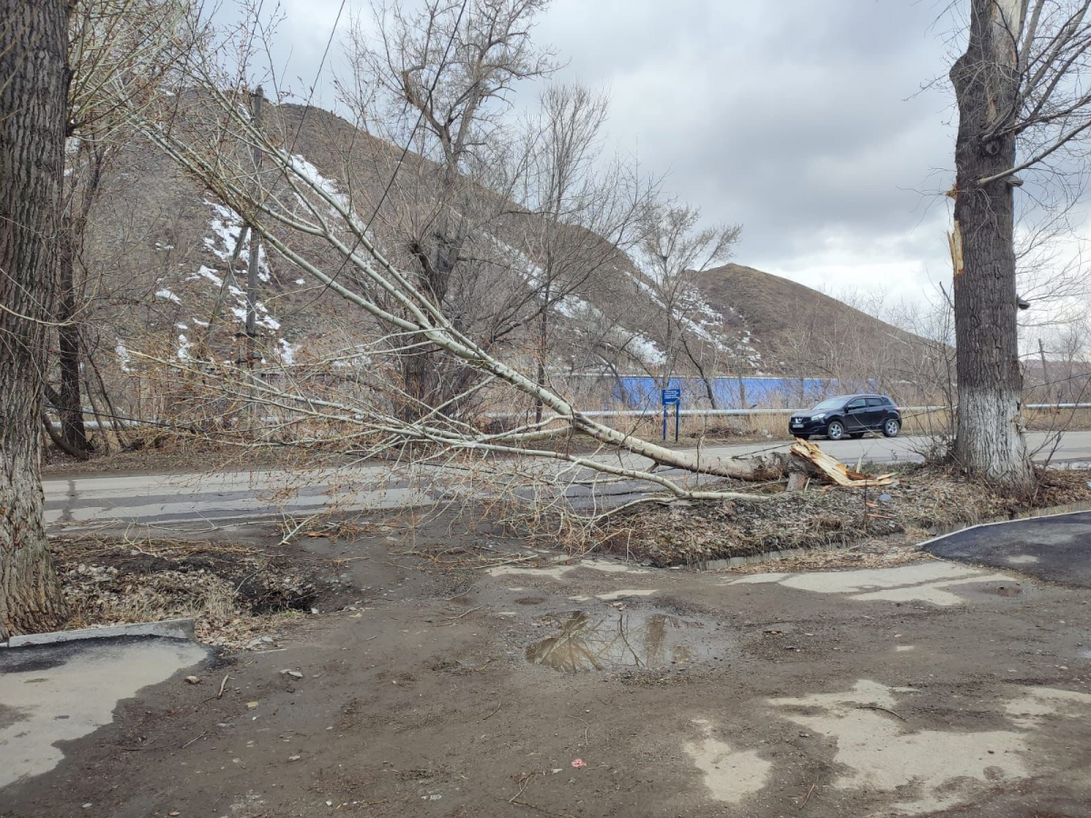 Шквальный ветер и возгорания в ВКО: пострадавших не зарегистрировано