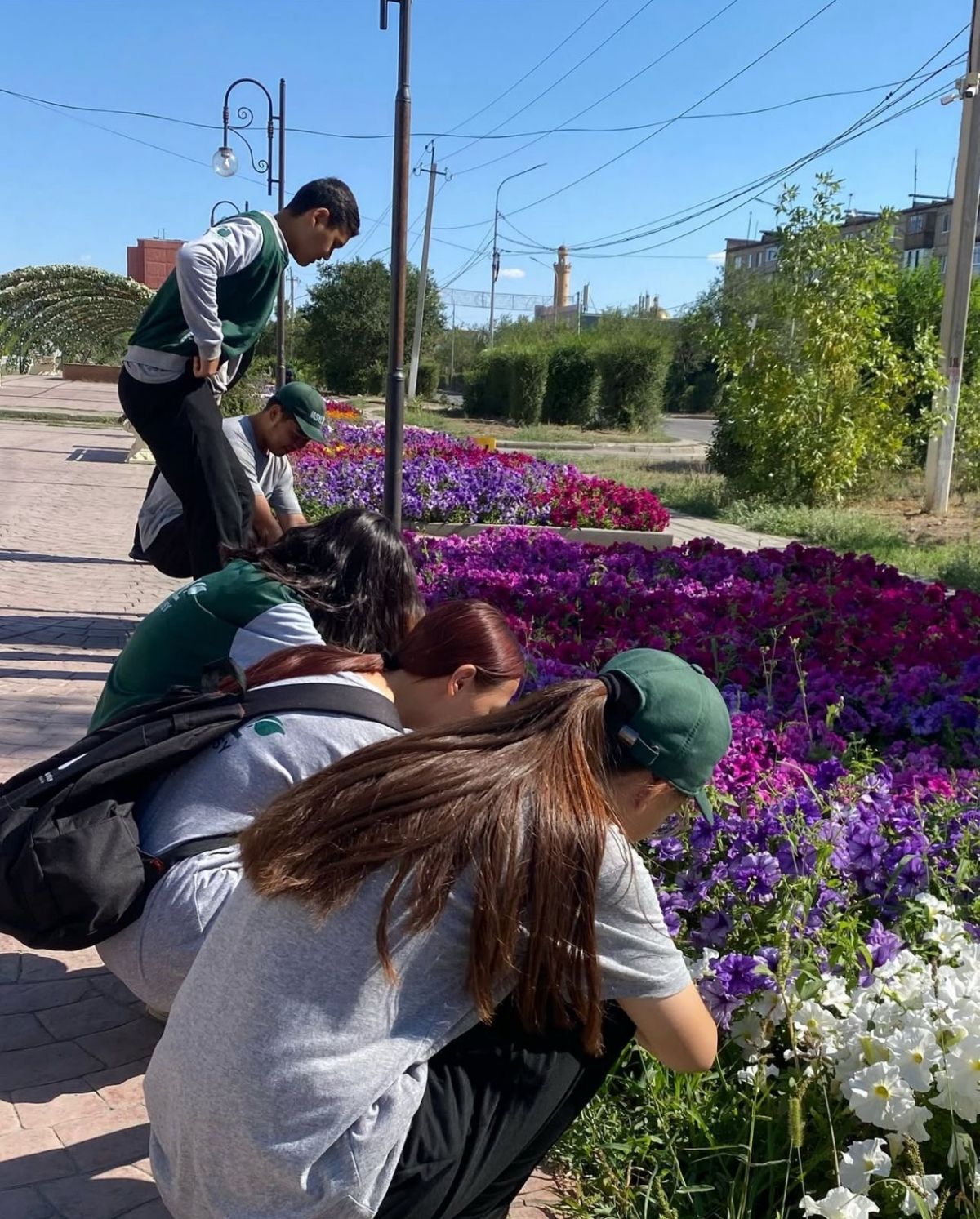 Ұлытау облысында «Жасыл ел – 2025» бағдарламасы аясында 700-дей жас жұмыспен қамтылады