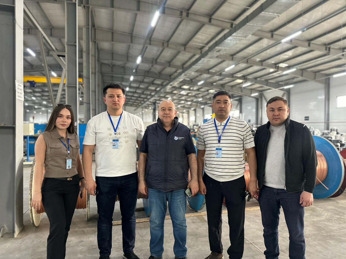 Сәтбаев қаласы индустриялық аймақты дамыту жолында: «Каз Тек Инвест» және «Harmony Cable»компанияларымен іскерлік кездесу өтті