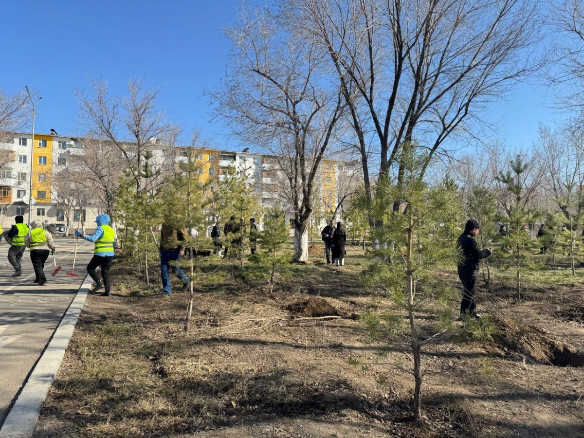 ҰЛЫТАУ ОБЛЫСЫНДА 27 МЫҢНАН АСТАМ АҒАШ КӨШЕТІ ЕГІЛЕДІ Көктемгі көгалдандыру науқаны басталды