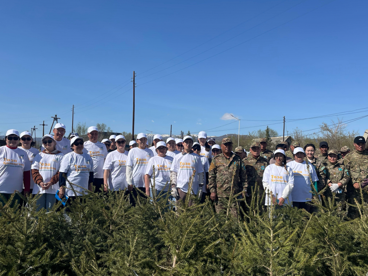 Шығыс Қазақстанда 50 мың көшет отырғызылды, сенбіліктер және жастардың қатысуы