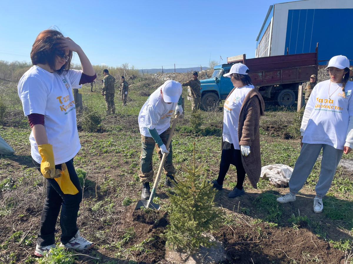 В Восточном Казахстане высадили 50 000 деревьев, субботники и участие молодежи