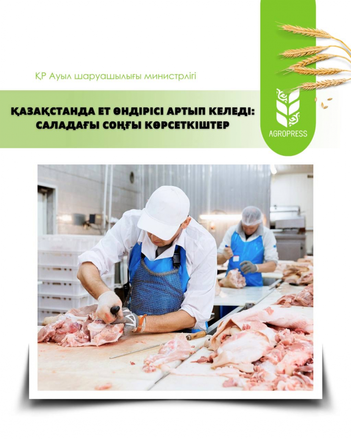 Қазақстанда ет өндірісі артып келеді: саладағы соңғы көрсеткіштер