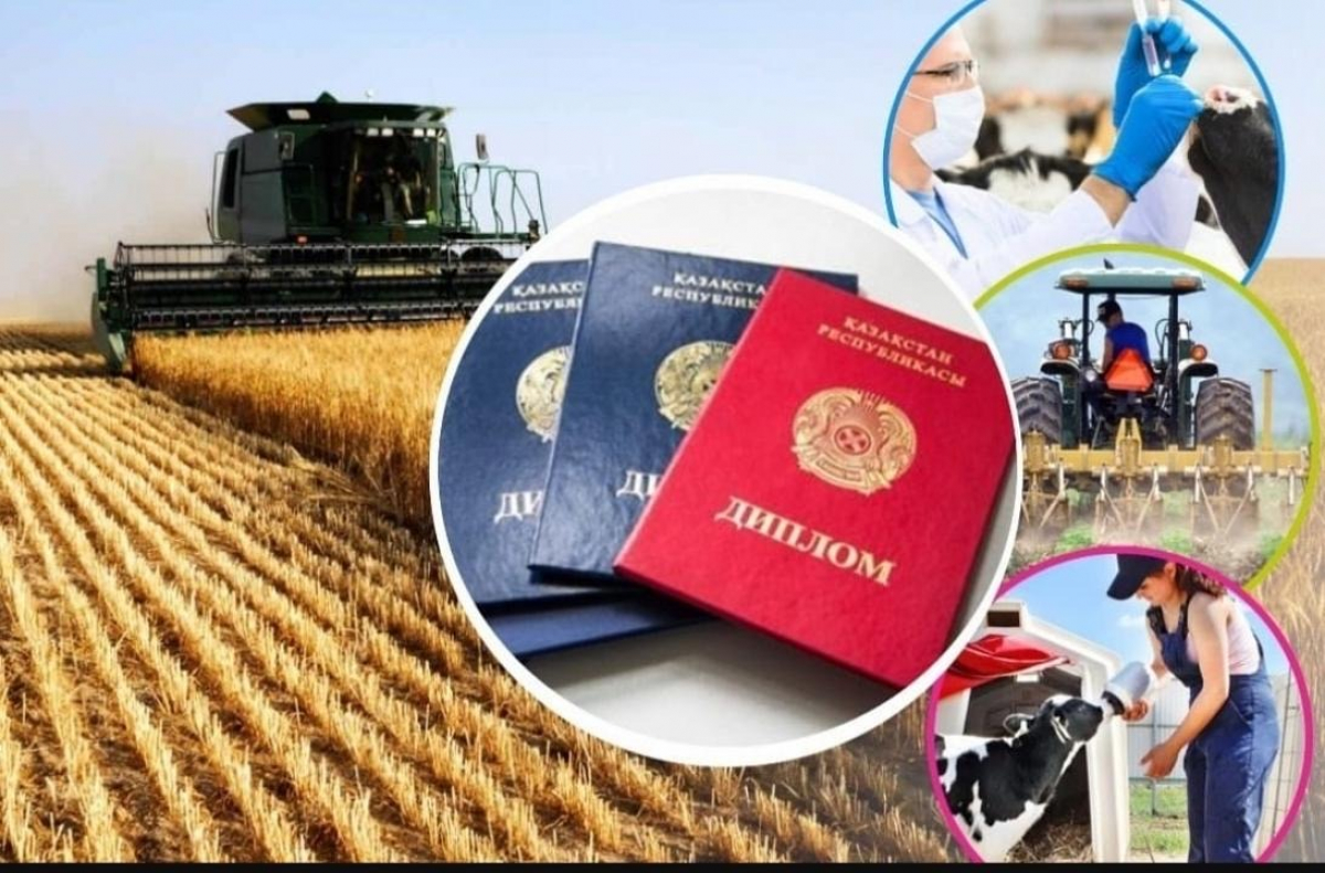 "Дипломмен ауылға" бағдарламасы 2025 жылы 2,8 мың жас маманды тұрғын үймен қамтамасыз етеді