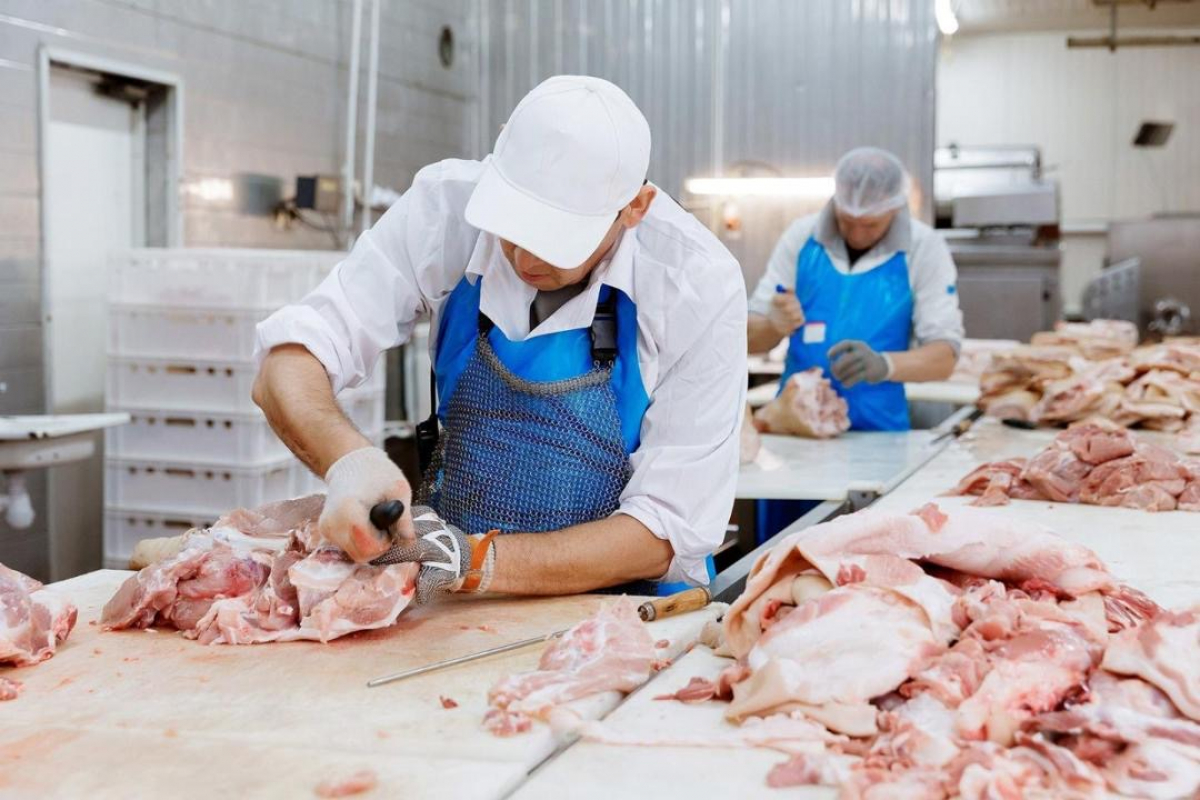 Қазақстанда ет өндірісі артып келеді: саладағы соңғы көрсеткіштер
