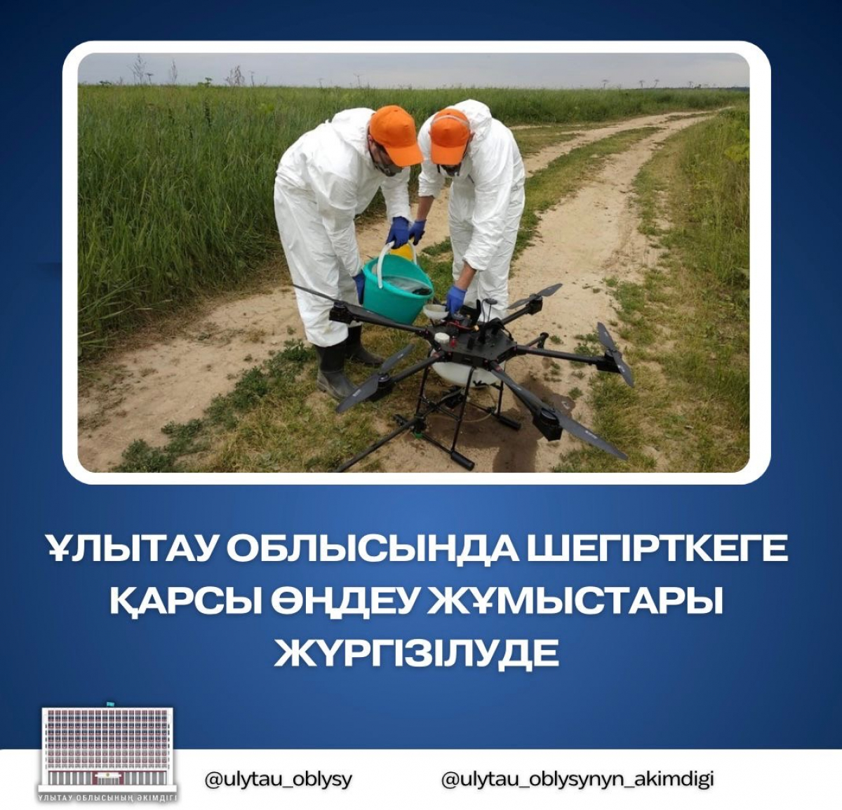 Ұлытау облысында шегірткеге қарсы өңдеу жұмыстары жүргізілуде