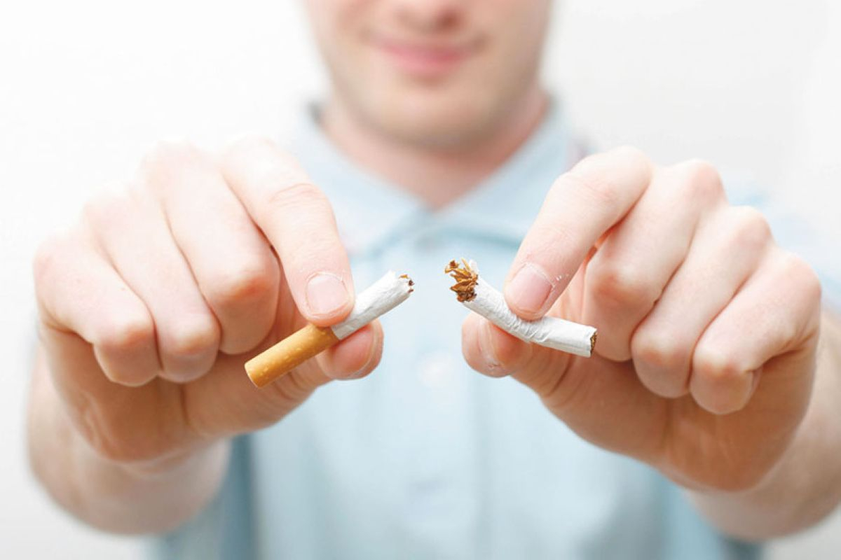 ТҮРКІСТАН ОБЛЫСЫ: ШЫЛЫМ ШЕГУГЕ ҚАРСЫ КҮРЕС ЖҰМЫСТАРЫ