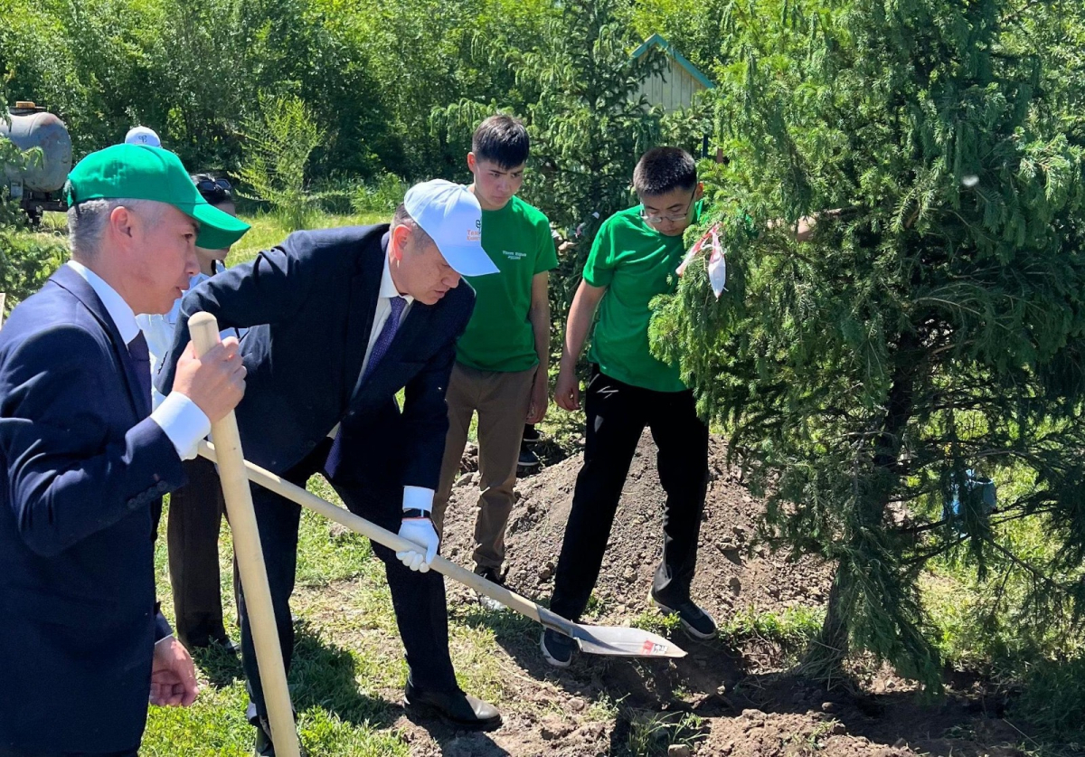 Аким ВКО принял участие в посадке 50 деревьев в Улкен Нарыне в рамках акции «Таза Қазақстан»