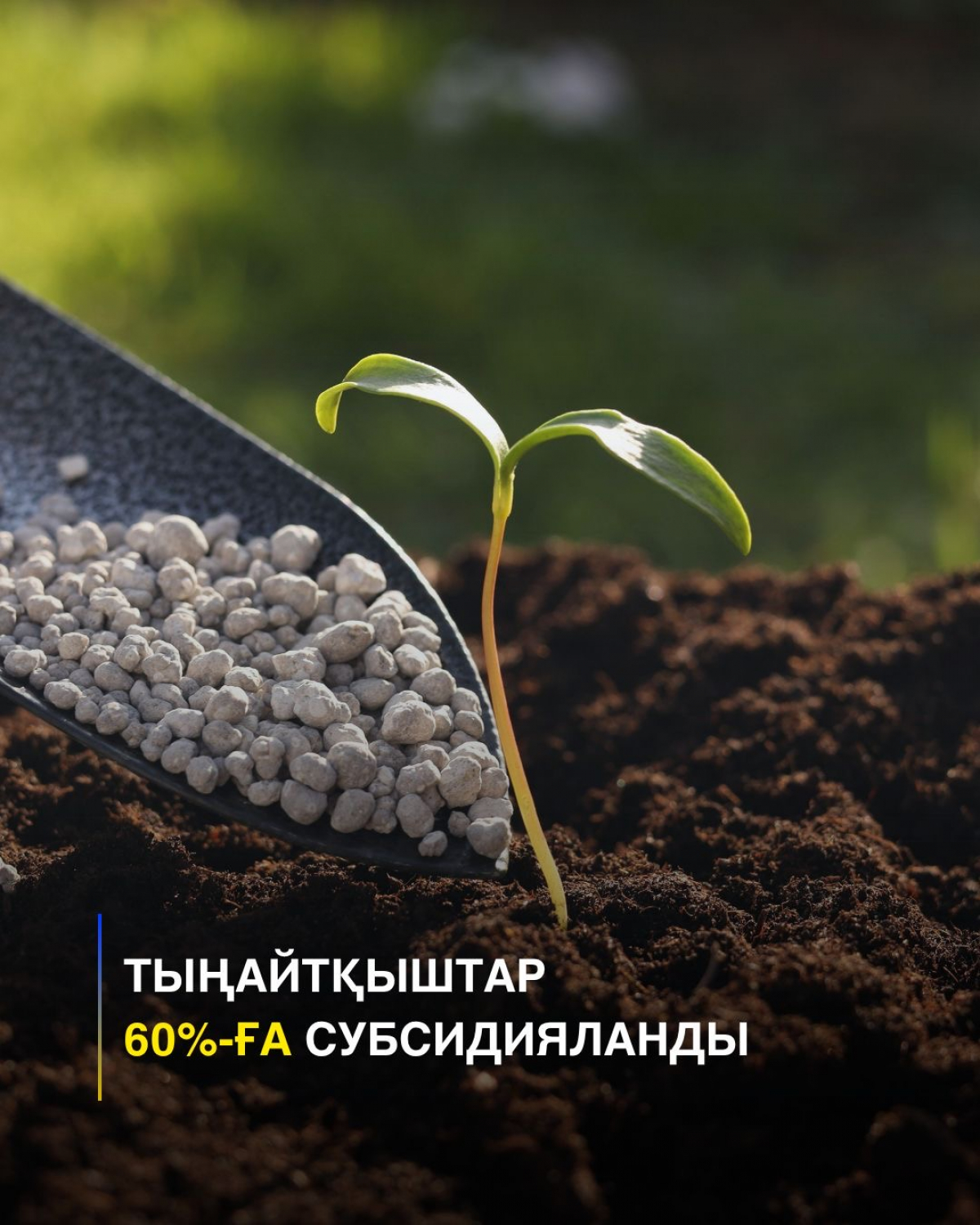 ҰЛЫТАУ ОБЛЫСЫНДА ТЫҢАЙТҚЫШТАР 60%-ҒА СУБСИДИЯЛАНДЫ