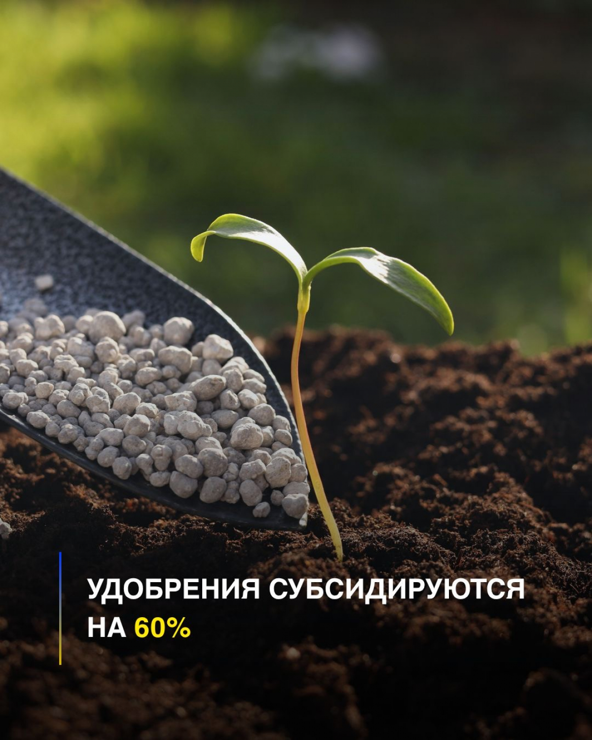УДОБРЕНИЯ СУБСИДИРУЮТСЯ НА 60% В ОБЛАСТИ ҰЛЫТАУ!