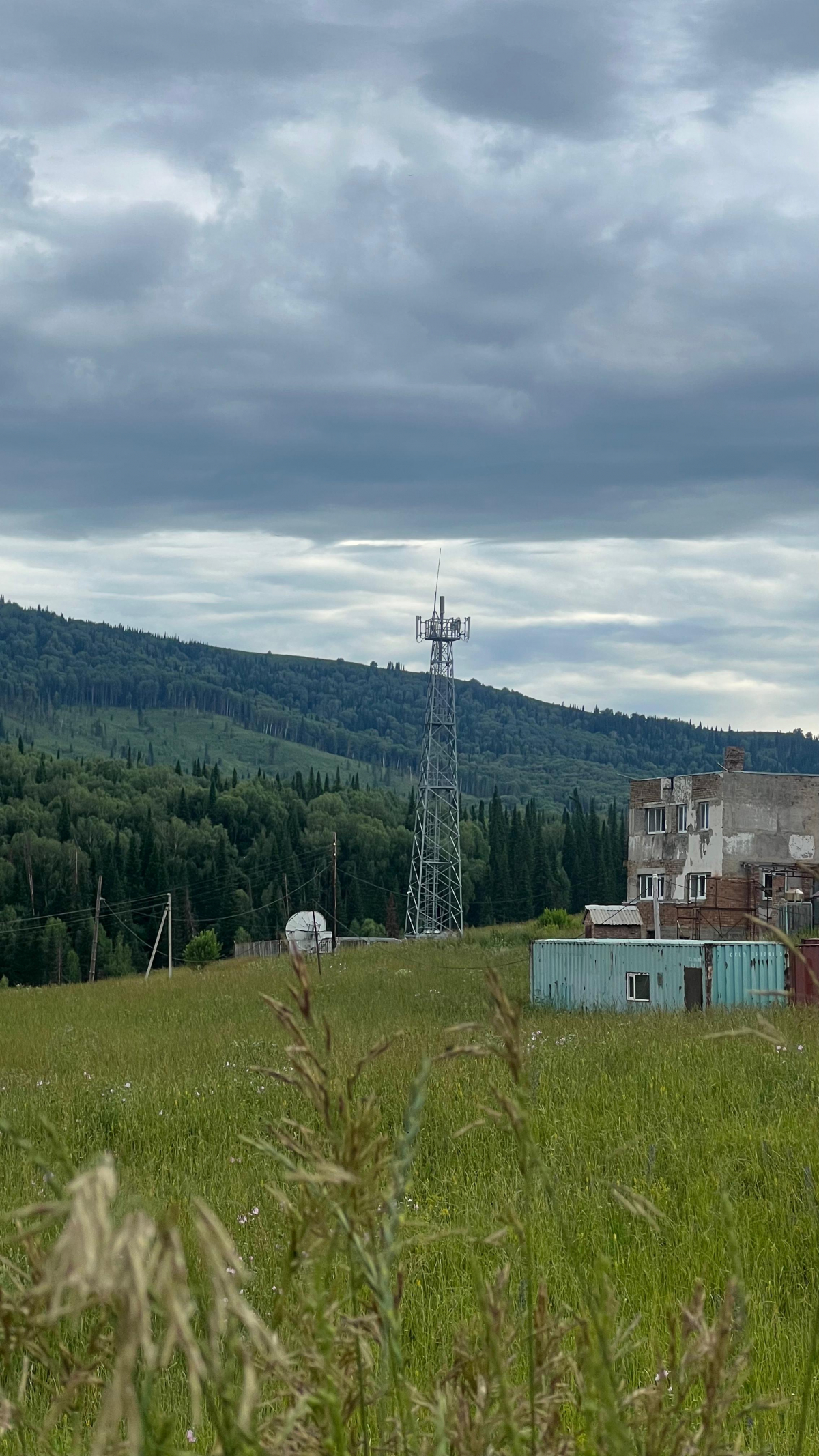 Цифрлық даму: Зимовье ауылы мобильді интернетпен қамтылды