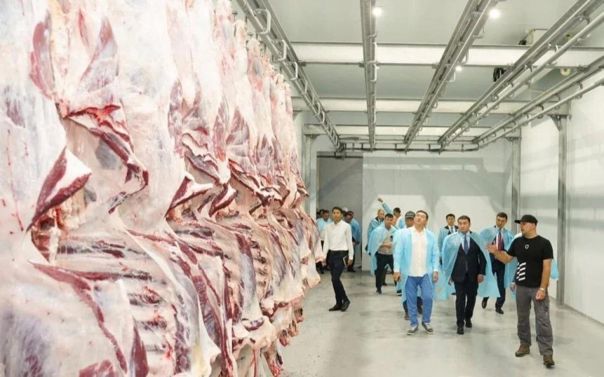 ТҮРКІСТАН ОБЛЫСЫ: БОРДАҚЫЛАУ КЕШЕНІ ІСКЕ ҚОСЫЛДЫ