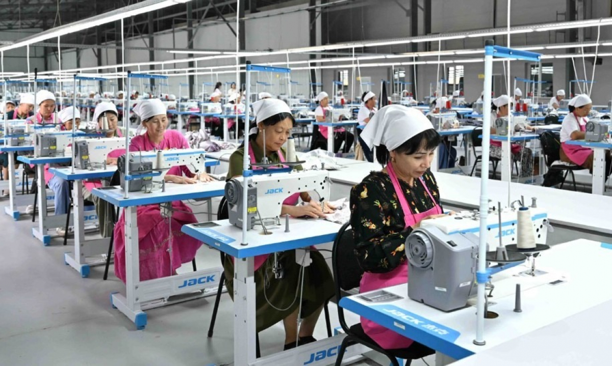 ТҮРКІСТАН ОБЛЫСЫ: КӘСІПКЕРЛІКТІ ҚОЛДАУ ҚАРҚЫН АЛЫП ЖАТЫР