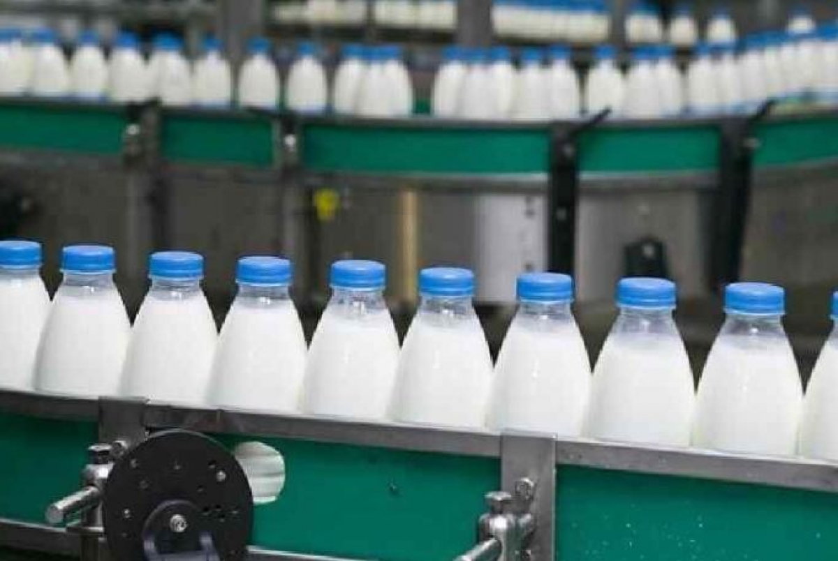 ТҮРКІСТАН ОБЛЫСЫ: ӨҢІРДЕ 350-ге ЖУЫҚ ЖОБА ІСКЕ АСЫРЫЛЫП ЖАТЫР