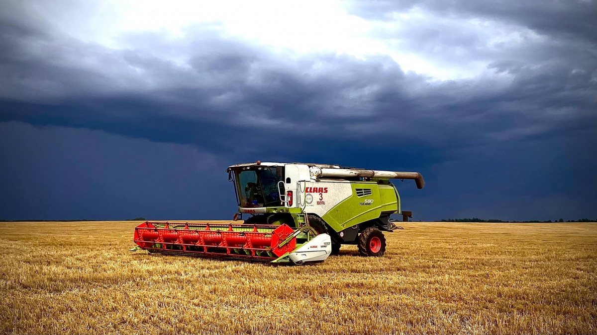 Уборочная кампания -2025 в ВКО: стабильный урожай и поддержка аграриев