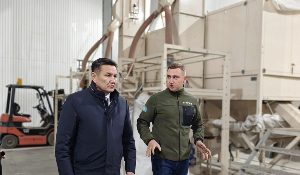 Республика күні қарсаңында ШҚО-да заманауи тұқым өндіру зауыты іске қосылды